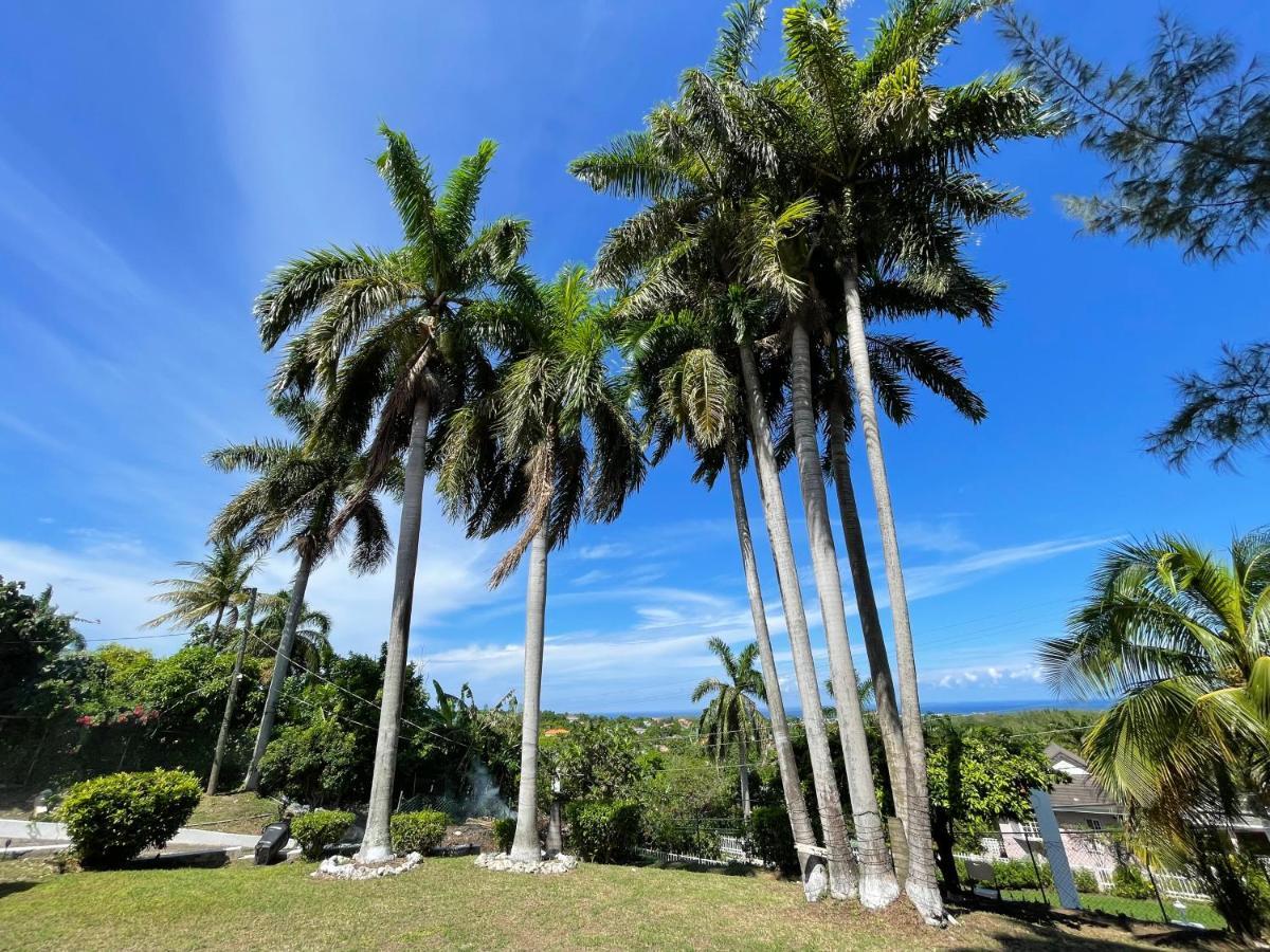 The Lodge @ Peaceful Palms Montego Bay Luaran gambar