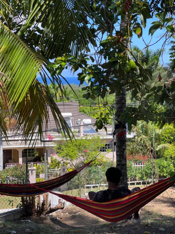 The Lodge @ Peaceful Palms Montego Bay Luaran gambar