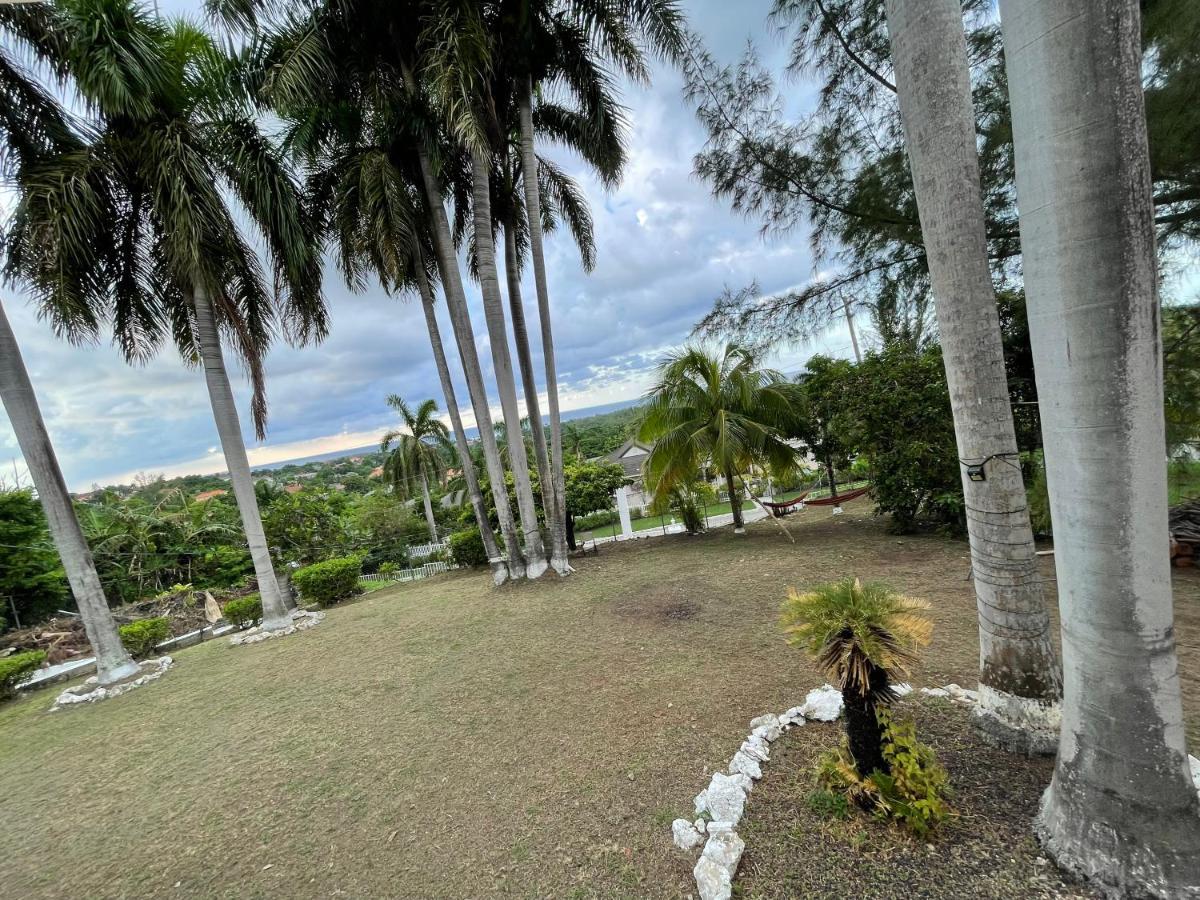 The Lodge @ Peaceful Palms Montego Bay Luaran gambar